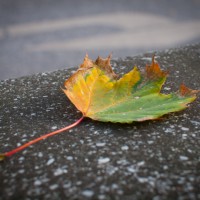 Photo: Ralf Appelt